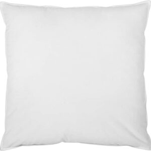 Ecost prekė po grąžinimo Traumnacht Pure Down Pillow, pagalvė su 100 % pūkų užpildu, užva